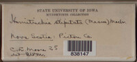 Image Associated With the Occurence